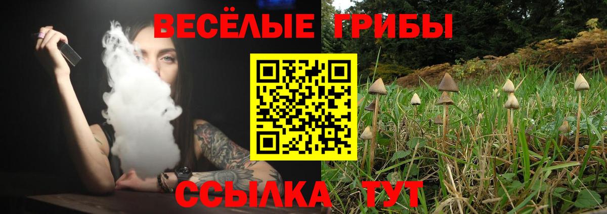 Псилоцибиновые грибы прущие грибы Крымск