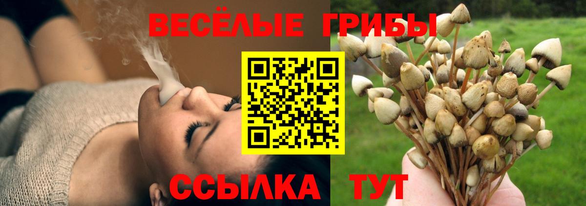 Галлюциногенные грибы прущие грибы  Вход с VPN  Крымск 